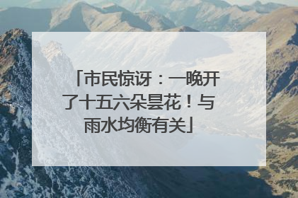 市民惊讶：一晚开了十五六朵昙花！与雨水均衡有关