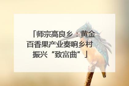 师宗高良乡：黄金百香果产业奏响乡村振兴“致富曲”