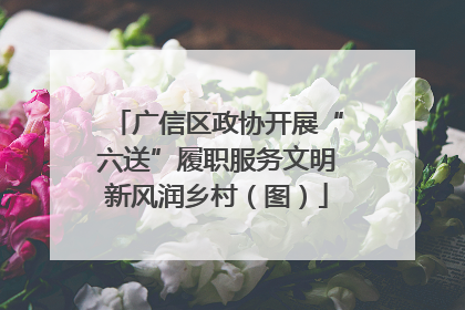 广信区政协开展“六送”履职服务文明新风润乡村（图）