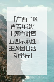 广西“区直青年说”主题宣讲暨五四示范性主题团日活动举行