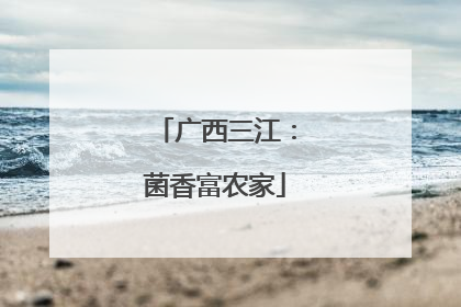 广西三江：菌香富农家
