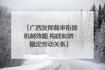 广西发挥裁审衔接机制效能 构建和谐稳定劳动关系