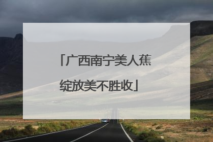 广西南宁美人蕉绽放美不胜收