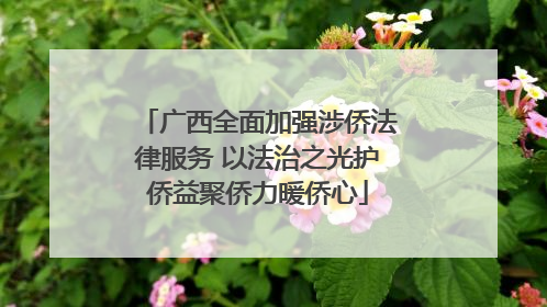 广西全面加强涉侨法律服务 以法治之光护侨益聚侨力暖侨心