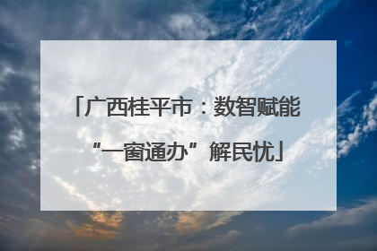 广西桂平市：数智赋能“一窗通办”解民忧