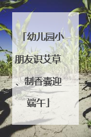 幼儿园小朋友识艾草、制香囊迎端午