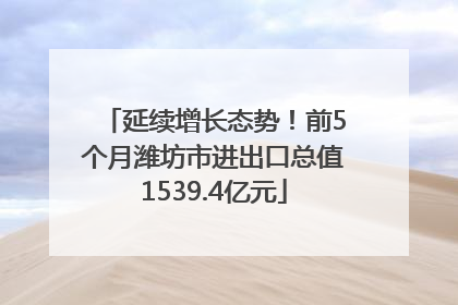 延续增长态势！前5个月潍坊市进出口总值1539.4亿元