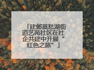 建邺莫愁湖街道艺苑社区在社企共建中开展“红色之旅”