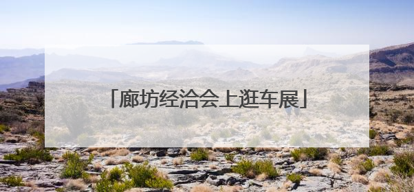 廊坊经洽会上逛车展
