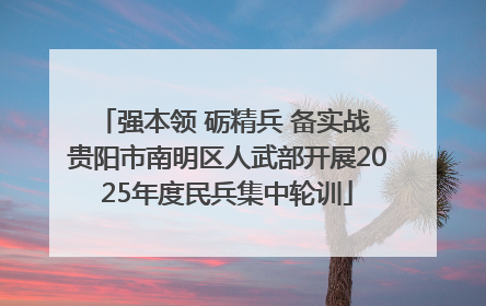 强本领 砺精兵 备实战 贵阳市南明区人武部开展2025年度民兵集中轮训