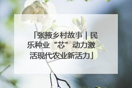 张掖乡村故事｜民乐种业“芯”动力激活现代农业新活力