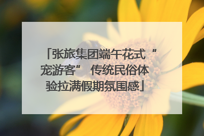 张旅集团端午花式“宠游客” 传统民俗体验拉满假期氛围感