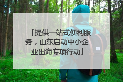 提供一站式便利服务，山东启动中小企业出海专项行动