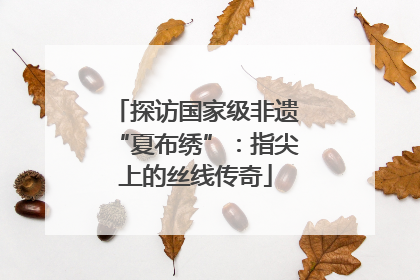 探访国家级非遗“夏布绣”：指尖上的丝线传奇