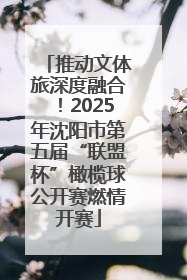 推动文体旅深度融合！2025年沈阳市第五届“联盟杯”橄榄球公开赛燃情开赛