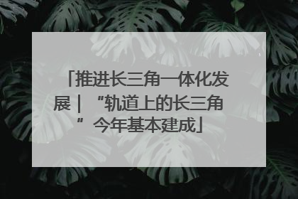 推进长三角一体化发展｜“轨道上的长三角”今年基本建成