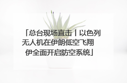 总台现场直击丨以色列无人机在伊朗低空飞翔 伊全面开启防空系统