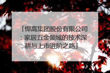 悍高集团股份有限公司：家居五金领域的技术深耕与上市进阶之路