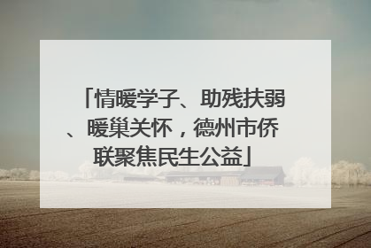 情暖学子、助残扶弱、暖巢关怀，德州市侨联聚焦民生公益