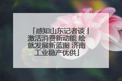 感知山东记者谈丨激活消费新动能 绘就发展新蓝图 济南工业稳产优供
