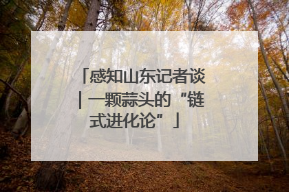 感知山东记者谈｜一颗蒜头的“链式进化论”