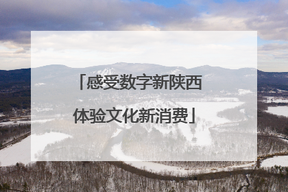 感受数字新陕西 体验文化新消费