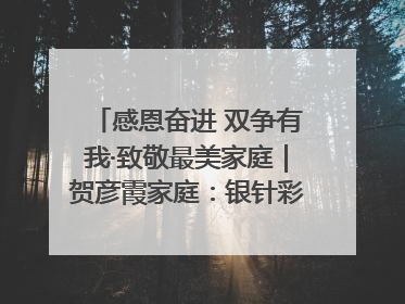 感恩奋进 双争有我·致敬最美家庭｜贺彦霞家庭：银针彩线绣出好日子