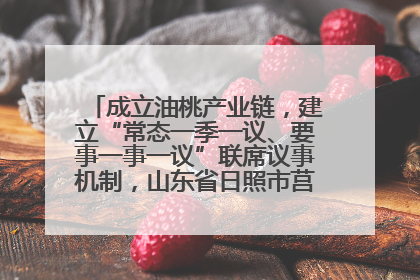 成立油桃产业链，建立“常态一季一议、要事一事一议”联席议事机制，山东省日照市莒县果庄镇——13个党小组“全周期”育果