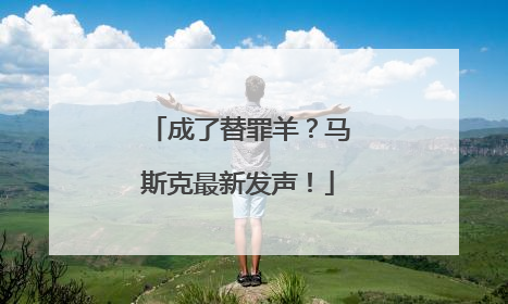 成了替罪羊？马斯克最新发声！