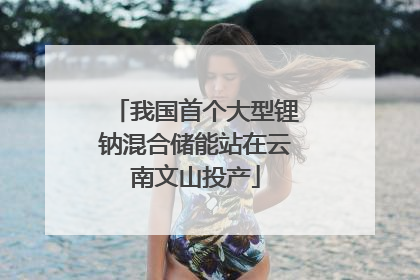 我国首个大型锂钠混合储能站在云南文山投产