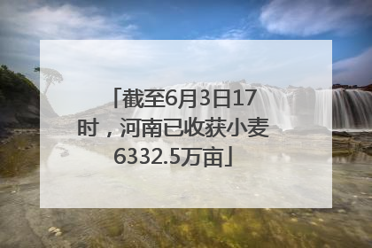 截至6月3日17时，河南已收获小麦6332.5万亩