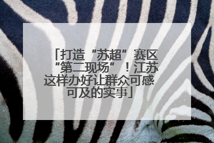 打造“苏超”赛区“第二现场”！江苏这样办好让群众可感可及的实事