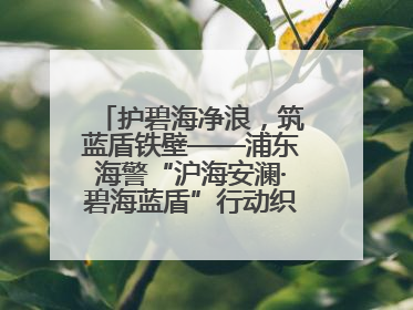 护碧海净浪，筑蓝盾铁壁——浦东海警“沪海安澜·碧海蓝盾”行动织密立体防控网
