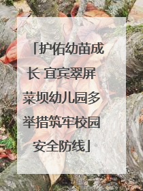 护佑幼苗成长 宜宾翠屏菜坝幼儿园多举措筑牢校园安全防线