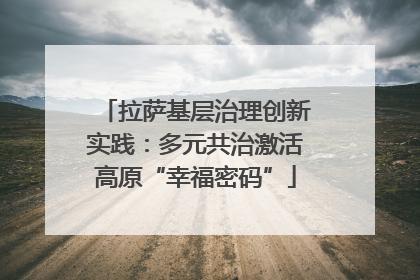 拉萨基层治理创新实践：多元共治激活高原“幸福密码”