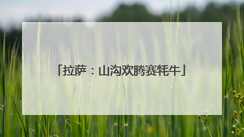 拉萨：山沟欢腾赛牦牛