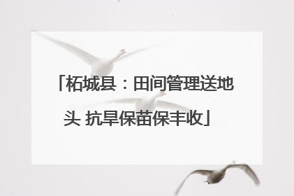 柘城县：田间管理送地头 抗旱保苗保丰收