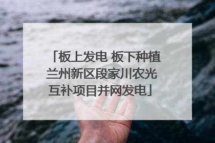 板上发电 板下种植 兰州新区段家川农光互补项目并网发电