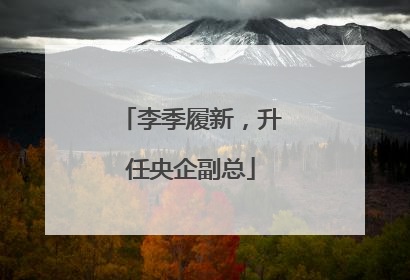 李季履新，升任央企副总