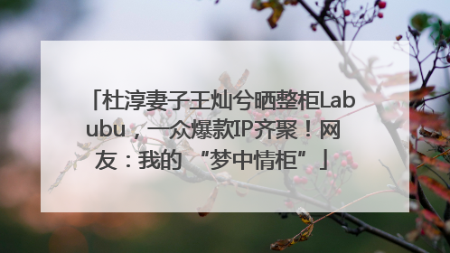 杜淳妻子王灿兮晒整柜Labubu，一众爆款IP齐聚！网友：我的 “梦中情柜”