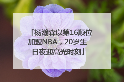 杨瀚森以第16顺位加盟NBA，20岁生日夜迎高光时刻