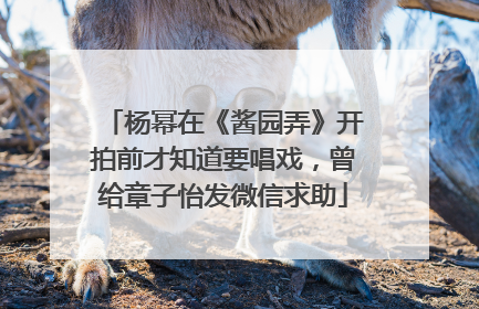 杨幂在《酱园弄》开拍前才知道要唱戏，曾给章子怡发微信求助