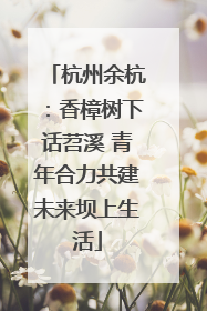 杭州余杭：香樟树下话苕溪 青年合力共建未来坝上生活
