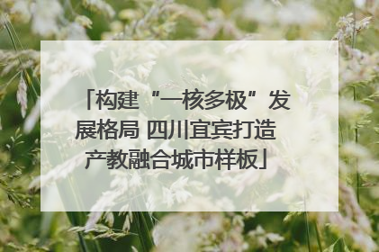 构建“一核多极”发展格局 四川宜宾打造产教融合城市样板