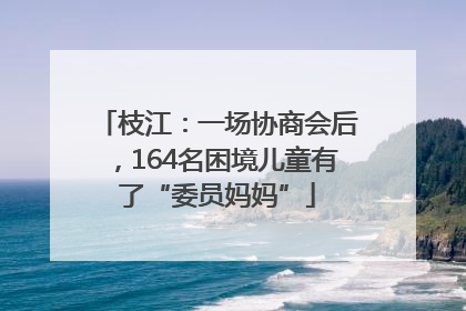 枝江：一场协商会后，164名困境儿童有了“委员妈妈”