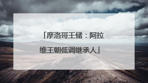 摩洛哥王储：阿拉维王朝低调继承人