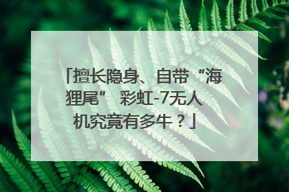 擅长隐身、自带“海狸尾” 彩虹-7无人机究竟有多牛？