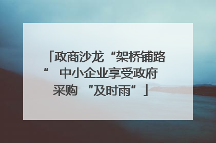 政商沙龙“架桥铺路” 中小企业享受政府采购 “及时雨”
