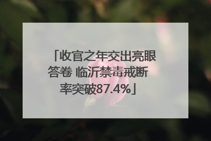 收官之年交出亮眼答卷 临沂禁毒戒断率突破87.4%