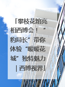 攀枝花馆亮相西博会！“豹局长”带你体验“暖暖花城”独特魅力｜西博视界